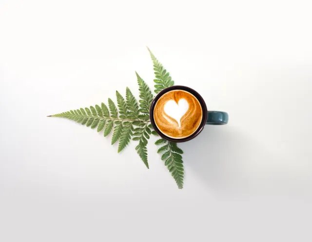 【CBD熱潮】 試CBD大麻二酚咖啡 附香港Cafe推介