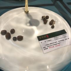Donghuguojidajiudiandieshi Restaurant User Photo