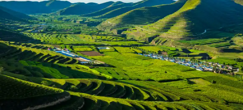 Hotels in Yuanzhou District