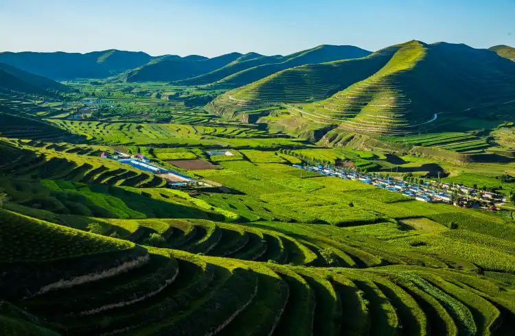 鄰近固原一中學明天文館的酒店