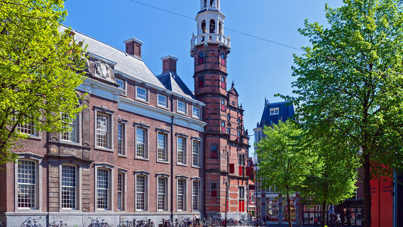 Hague