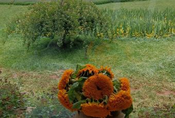 听花谷餐厅 User Photo