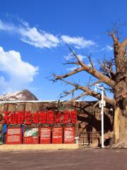 Tianshan Mountain Wildlife Park