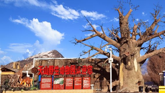 Tianshan Mountain Wildlife Park
