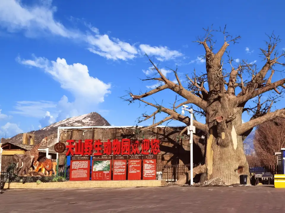 1_Tianshan Mountain Wildlife Park