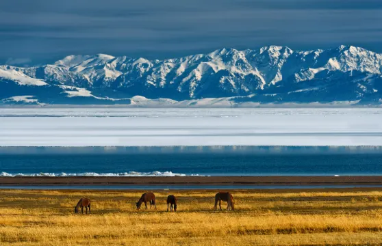 賽里木湖伊寧市-景區接駁巴士私人尊享包車接送（不包括門票）大小同價