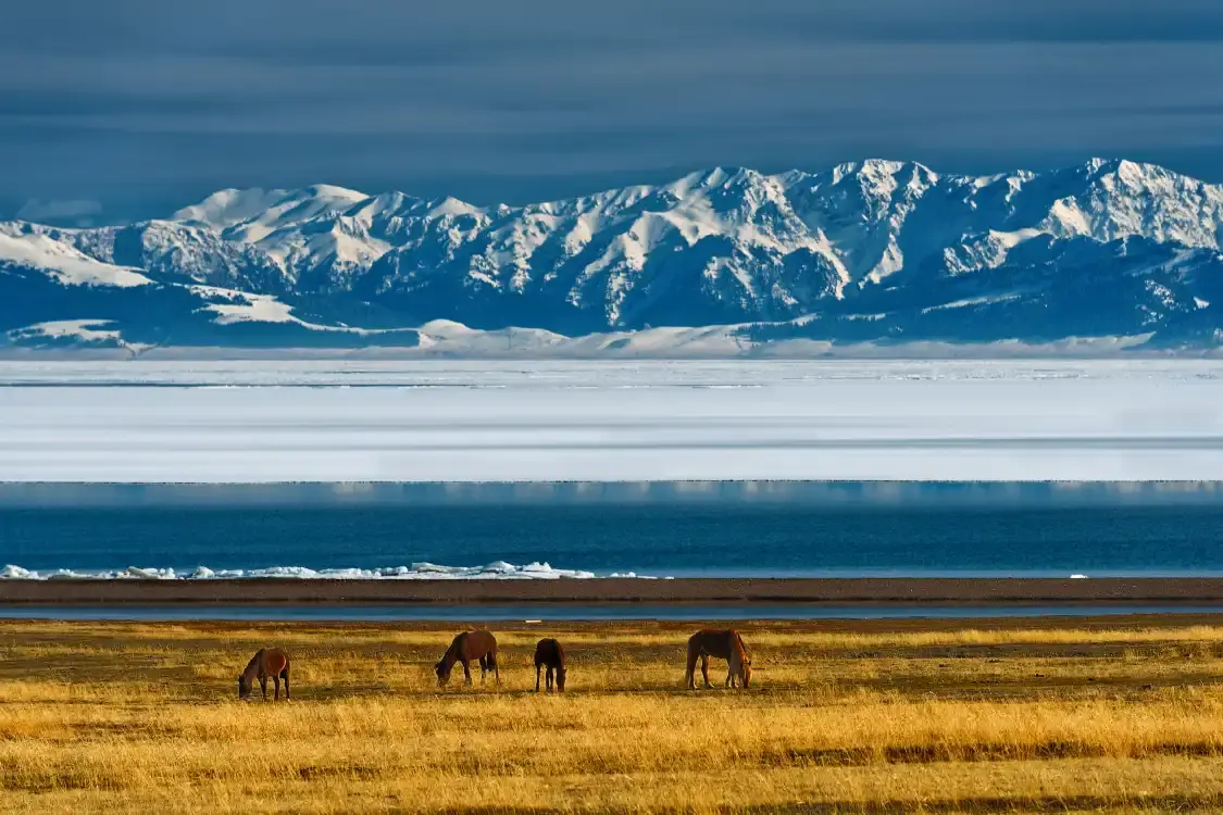 Hotel in zona Sayram Lake