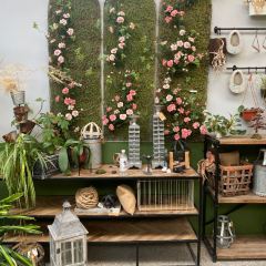 南岸时光 User Photo