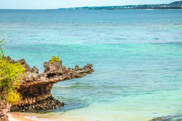 Отзывы об отеле Douce