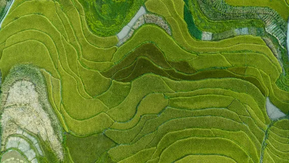 玩水避暑