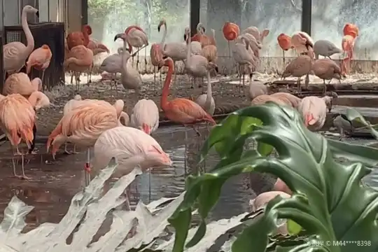 Hotels in der Nähe von Flamingo Hall