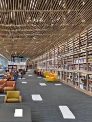 Airport Library