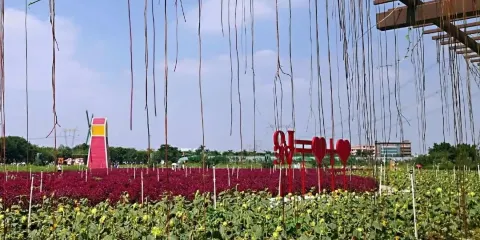 佛山農業公園