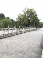 Jingjiang Binjiang Park