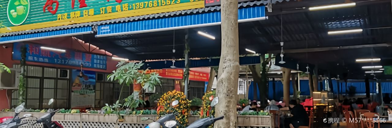 高隆灣中西茶園