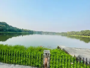 Krishna Sayer Park