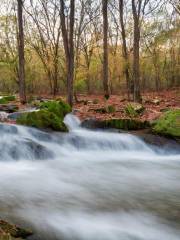 Rock Springs Nature Preserve