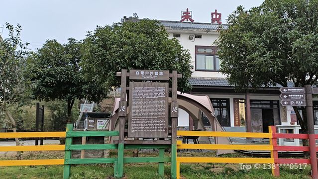 Egret Camp WILD CAMP