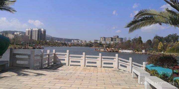 Damselfly Lake