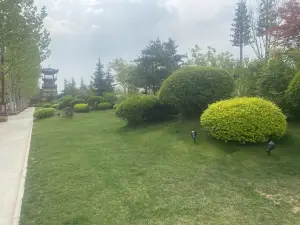 lu ye xian zong
