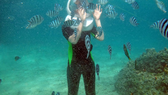 Solar Sea Walk, Underseawalk Ltd