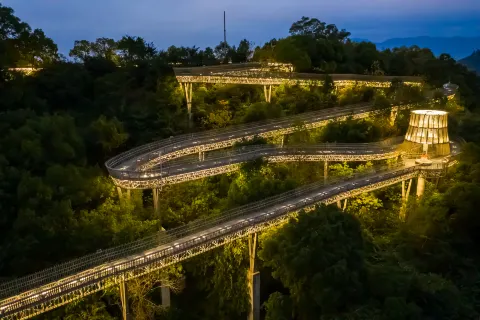 Fu Forest Trail