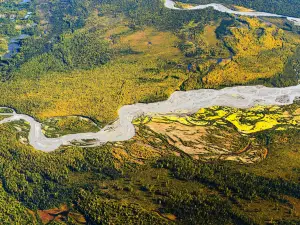 Parco nazionale di Denali
