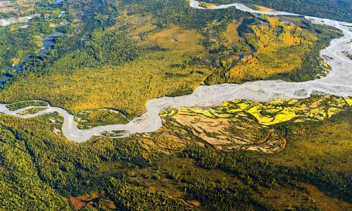Vườn quốc gia và khu bảo tồn Denali