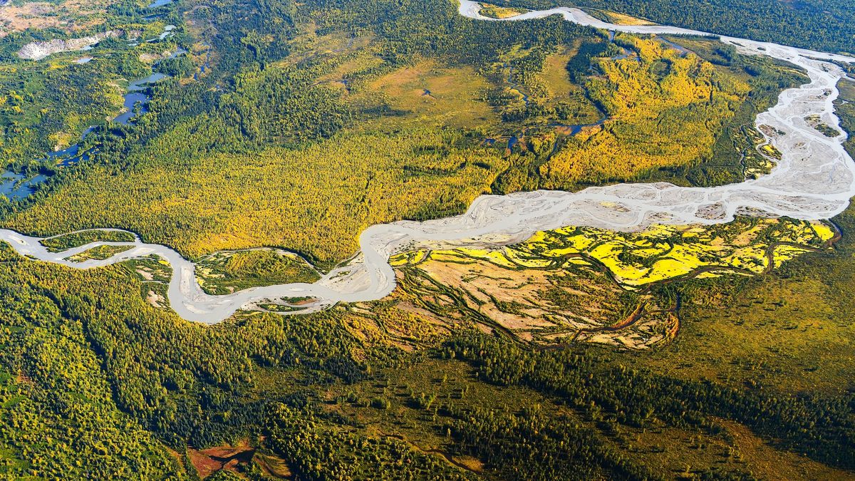 Denali National Park and Preserve