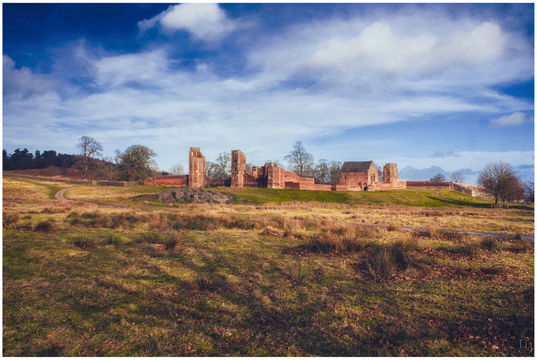 Bradgate Park
