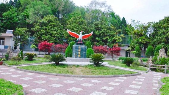 Crested Ibis Ecological Park