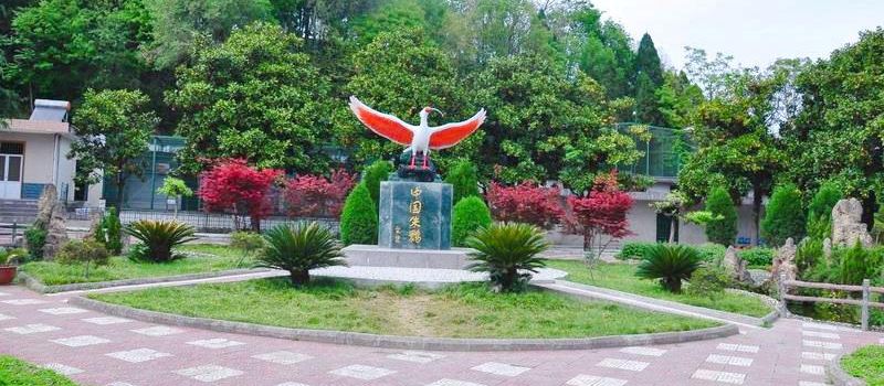 Zhuhuan Ecological Park