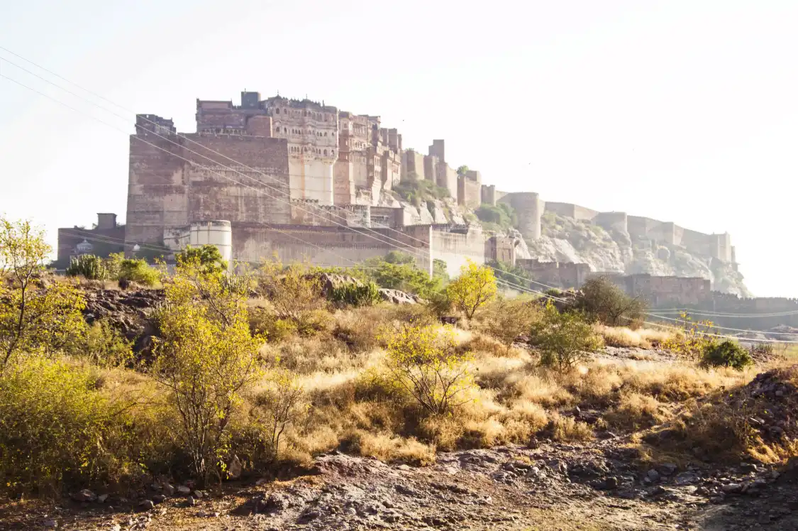 Hotels near Rao Jodha Desert Rock Park