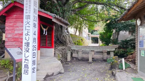 黑神埋沒鳥居