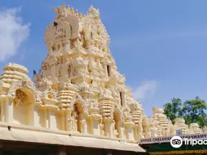 Shri Cheluvanarayana Swamy Temple