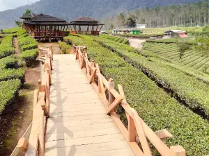 Wayang Windu Bike Park