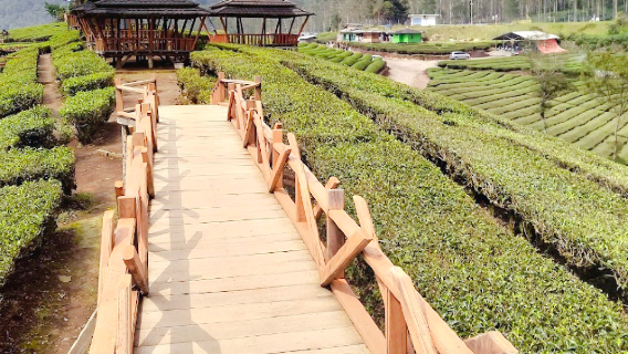 Wayang Windu Bike Park