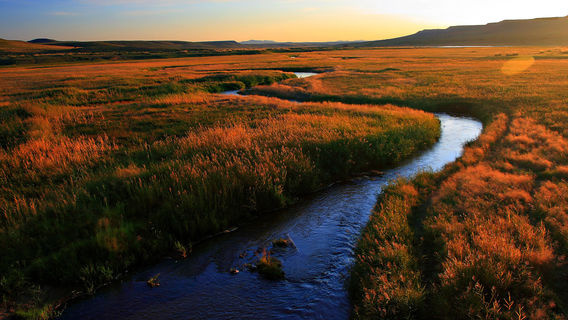 Gonggeer Grassland