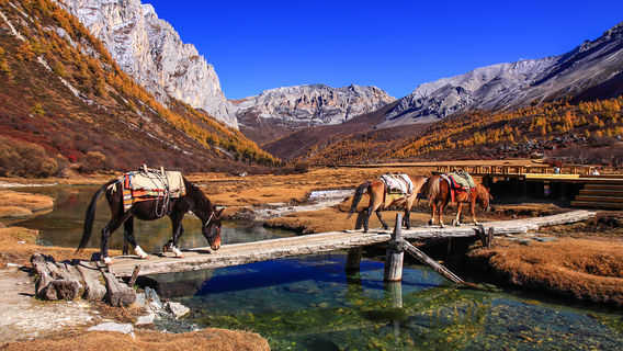 Horse Riding in Daocheng