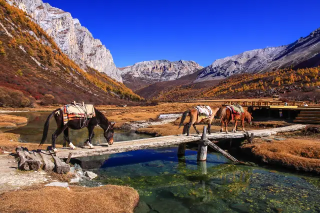 Horse Riding in Daocheng