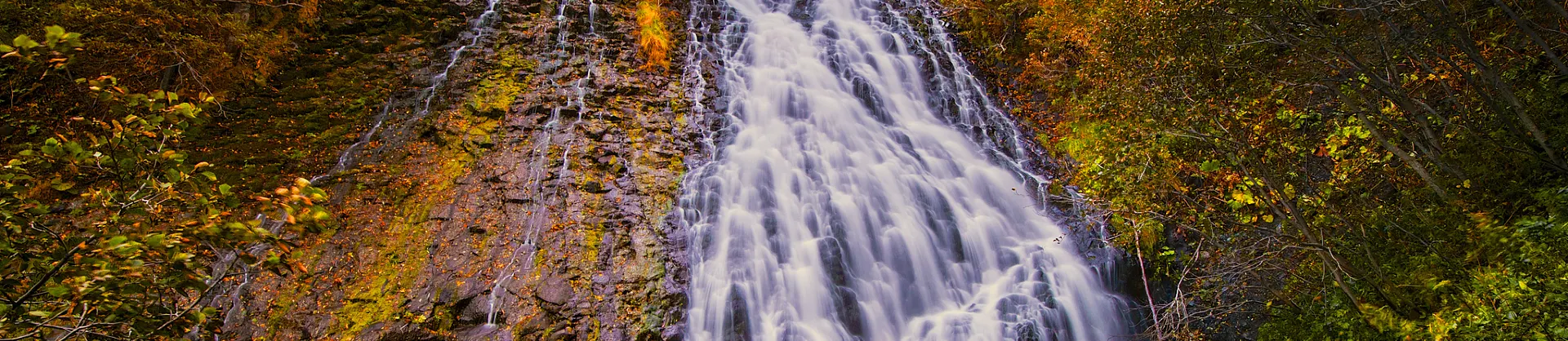 Fall Viewing Attractions