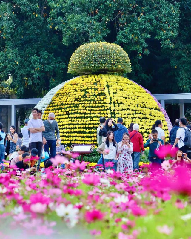 【廣州】第65屆羊城菊會展 | 廣州文化公園
