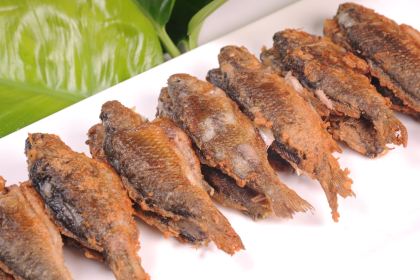 XIAO BEI JIANG HE XIAN