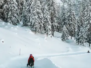 Jaun-Gastlosen Bergbahnen AG