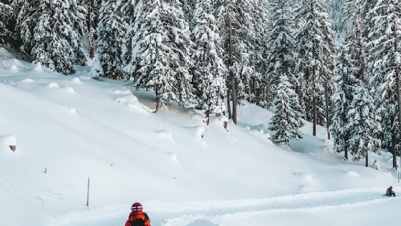 Jaun-Gastlosen Bergbahnen AG