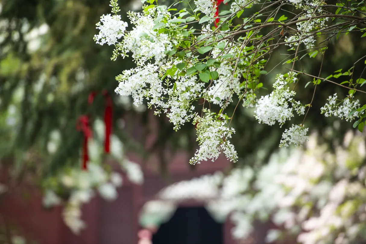 5_隆興寺