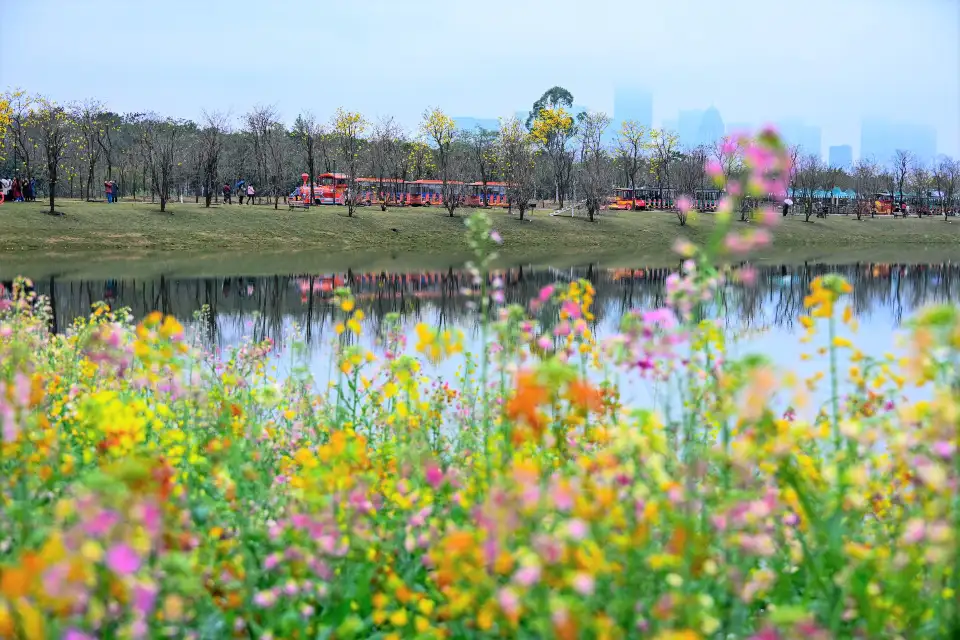 4_Qingxiu Mountain