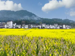 Baiyi Ancient Town