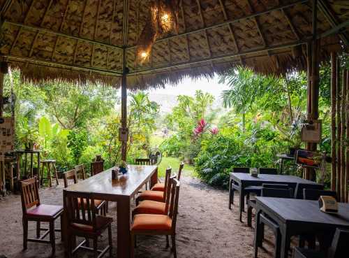 The Nature Samui