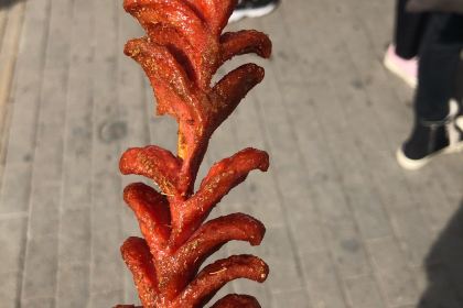 ZUN PIN XIANG ZHA LI JI